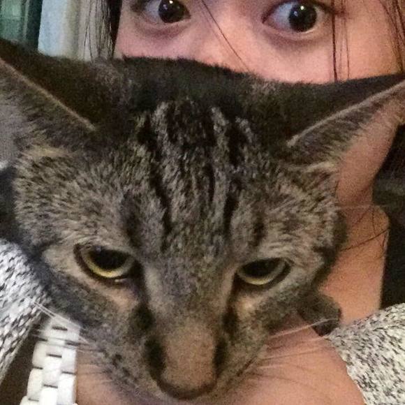 Meet your Posher, Connie - Picture 1 of 1